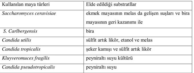 Çizelge 2.1: Kullanılan maya türleri ve substratları 