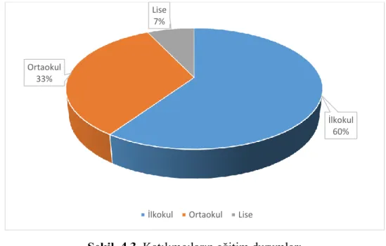 Şekil  4.3. Katılımcıların eğitim durumları 