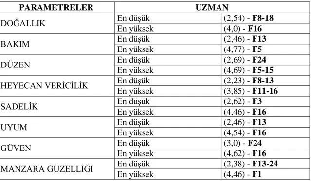 Çizelge 4.3. Uzman anketlerinden elde edilen bulgular 