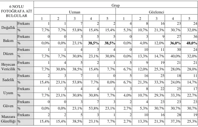 Çizelge 4.19. Görüntü 6’ya ilişkin uzman ve gözlemci grubu % dağılımları 