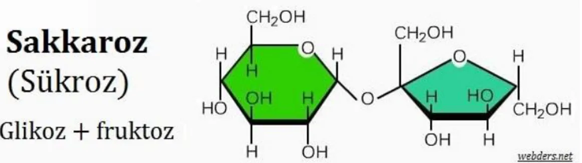 Şekil 2.11. Sakkarozun hidroliz tepkimesi (Haworth Formülü) 