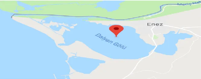 Şekil 5.3.Dalyan Gölü, Kaynak:(https://www.google.com.tr/maps/place/Dalyan+G%C3%B6l 