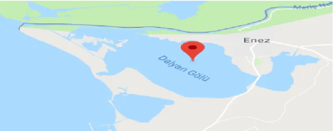Şekil 5.3.Dalyan Gölü, Kaynak:(https://www.google.com.tr/maps/place/Dalyan+G%C3%B6l 
