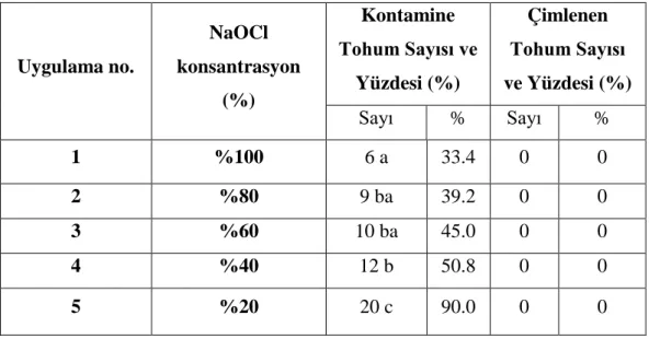 Çizelge 4.1. Farklı NaOCl konsantrasyonlarının kabuklu defne tohumlarının kontaminasyonu  ve çimlenmesi üzerine etkisi 