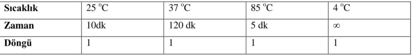 Çizelge 3. 1. RT-PCR aşamasında kullanılan sıcaklık ve döngü sayıları 