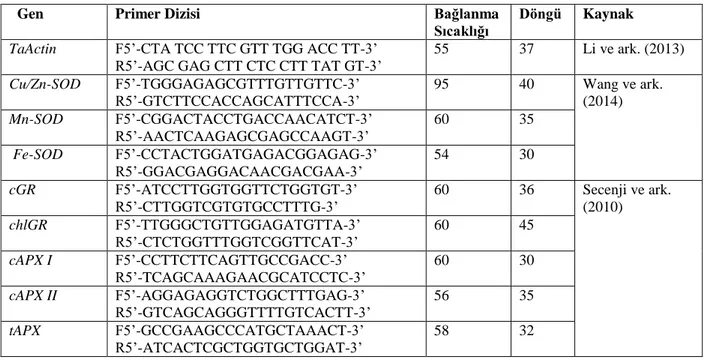 Çizelge 3. 3. Çalışmada kullanılan genlere ait primer dizileri ve PCR uygulamaları 