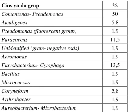 Çizelge 3.1. Aktif çamur içerisindeki heterotrofik bakterilerin dağılımı   (Droste ve Gehr 1996) 