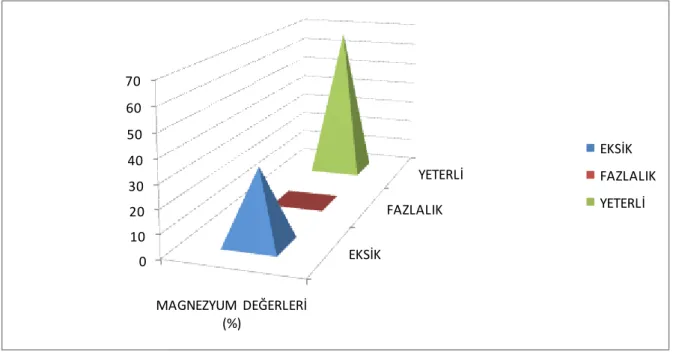 Şekil 4.5. Bitki örneklerinde magnezyum değerlendirmesi 
