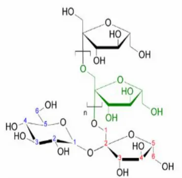 Şekil 2.1. İnülin kimyasal formülü (Niness 1999) 