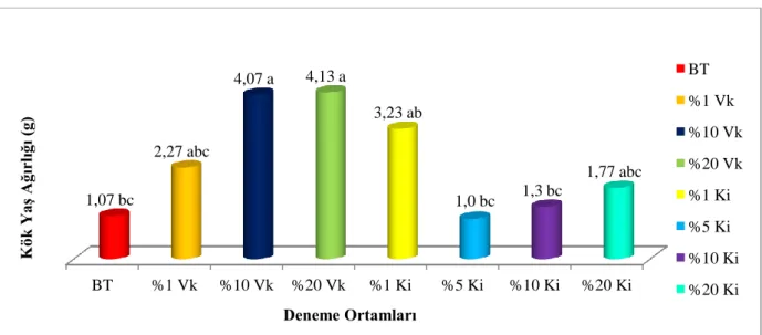 Şekil 4.14. Vermikompost ve Karaizopot gübresi uygulamalarının ıspanakta kök yaş ağırlığı (g) ortalamalarına 