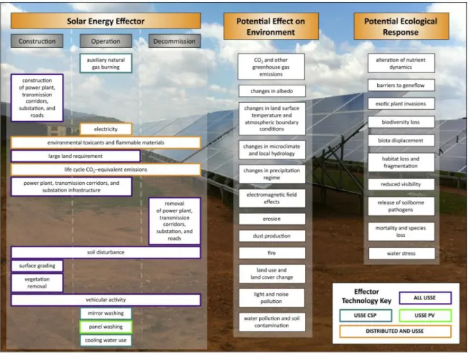 Şekil 22: CSP ve PV’lerin potansiyal etkileri ve çevrenin tepkisi (Hernandez, 2014) 