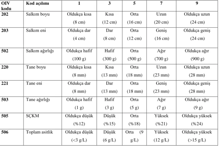 Çizelge 4. Üzümlerde tane, salkım ve şıra özelliklerine ilişkin OIV (2009) notasyon değerleri 