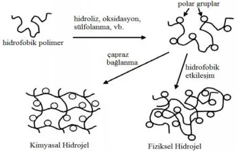Şekil 2.2. Hidrojel oluşumunun şematik gösterimi (Park vd, 2007) 