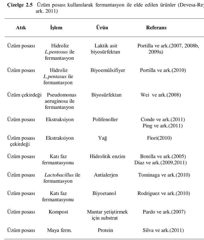 Çizelge  2.5    Üzüm  posası  kullanılarak  fermantasyon  ile  elde  edilen  ürünler  (Devesa-Rey  ve      ark