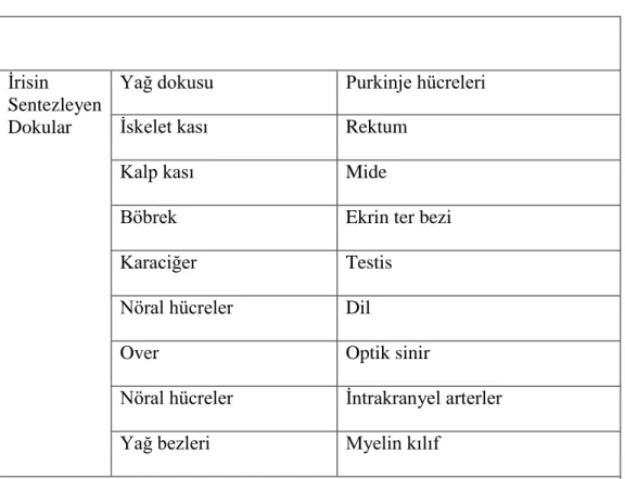 Tablo 4. İrisinin Üretildiği Organ ve Dokular 