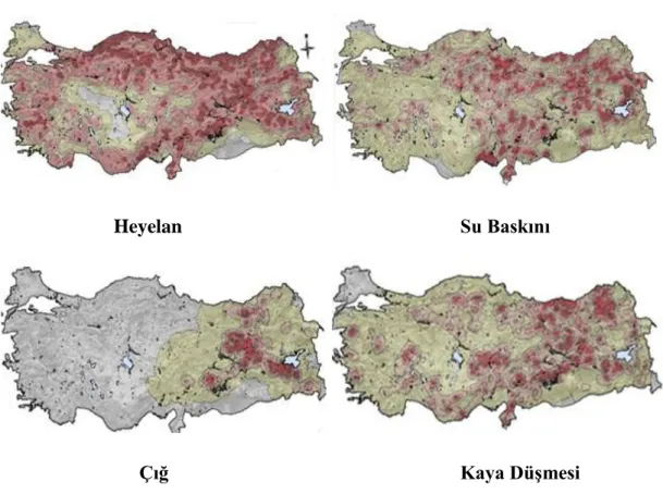Şekil 1.6: Türkiye’nin Afetselliği 