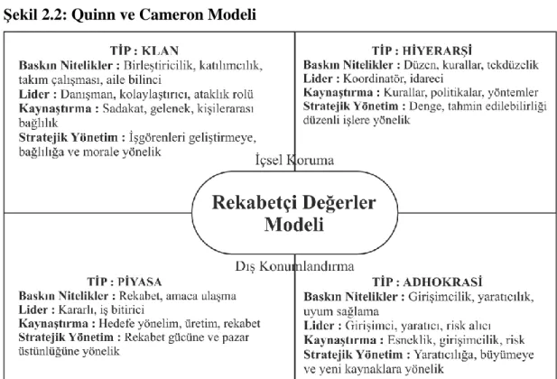 Şekil 2.2: Quinn ve Cameron Modeli 