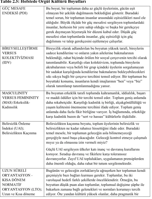 Tablo 2.5: Hofstede Örgüt Kültürü Boyutları 