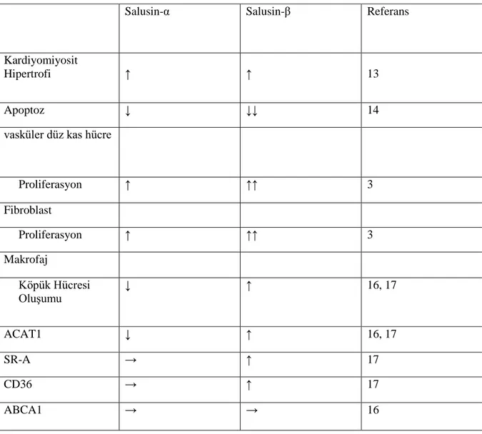 Tablo 2.2: Salusinlerin Kardiyovasküler Hücreler Üzerindeki Atersklerotik Etkileri ( Watanabe  ve ark