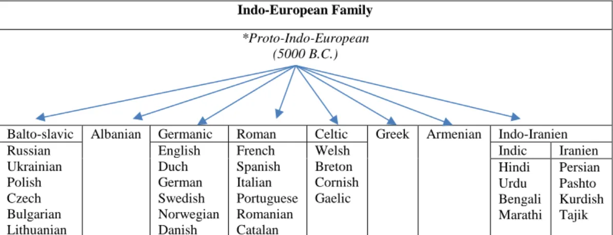 Table 6. The Indo-European Family  Indo-European Family 
