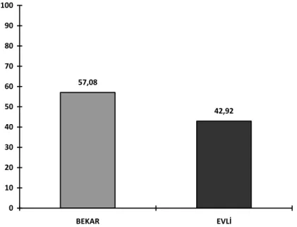 Şekil 4. Araştırmaya katılanların eğitim durumu (%) 