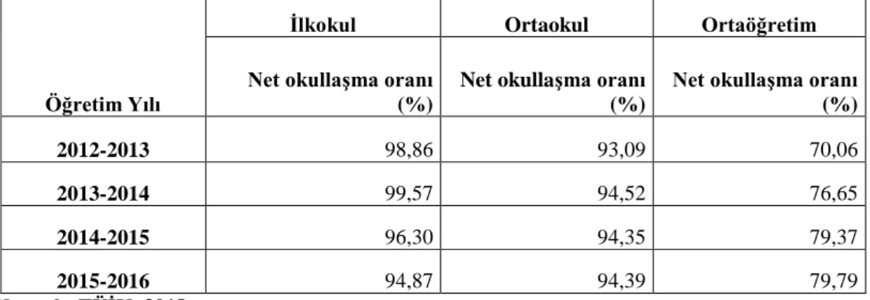 Tablo 8: Yıllara Göre Eğitim Düzeyindeki Okullaşma Oranları (2012-2016, %) 