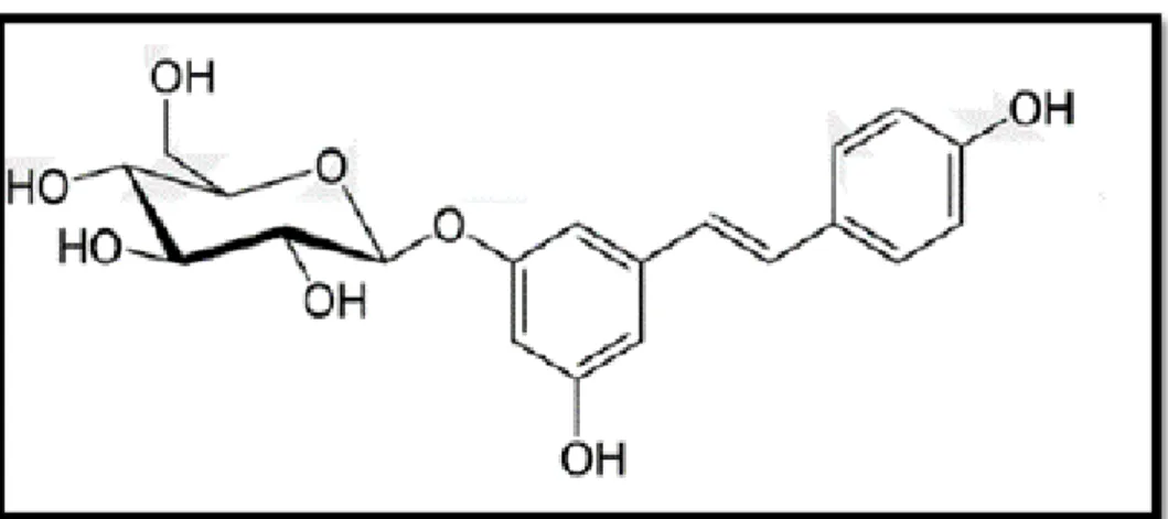 Şekil 2.11. Resveratrolün piseid formu (Anonim 2014). 