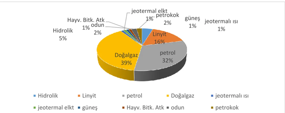 Grafik 1.Türkiye’de enerji tüketiminde hidroelektriğin payı 