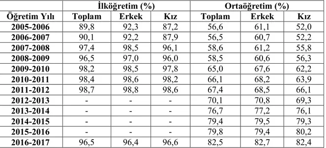 Tablo 13: Öğretim yılı ve eğitim seviyesine göre net okullaşma oranı, 2005-2017 