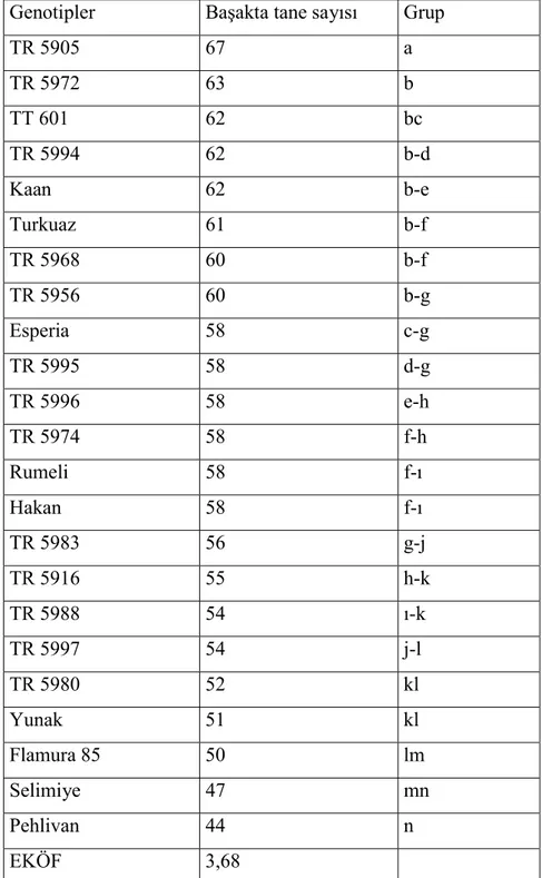 Çizelge 4.13. Başakta tane sayısı değerlerinde yapılan önemlilik test sonuçları  Genotipler  Başakta tane sayısı  Grup 