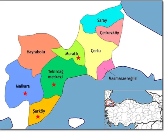 Şekil 3.1. Tekirdağ ilinin konumu ve çalışmaların yapıldığı ilçeler 