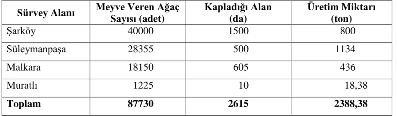 Çizelge 3.1. Tekirdağ’da çalışmaların yürütüldüğü kiraz üretim alanları ve üretim miktarları  (Anonim, 2018a) 