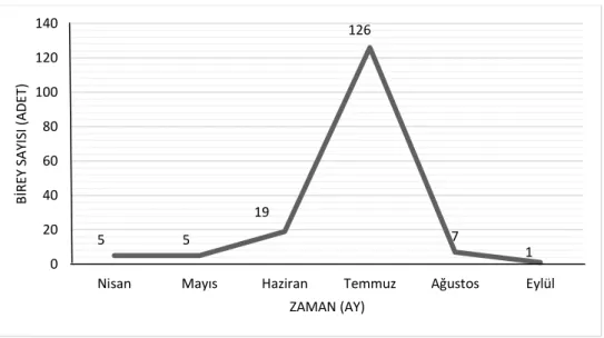 Şekil 4.1. Tekirdağ’da 2014 yılında toplanan Buprestidae türlerinin aylara göre dağılımı  