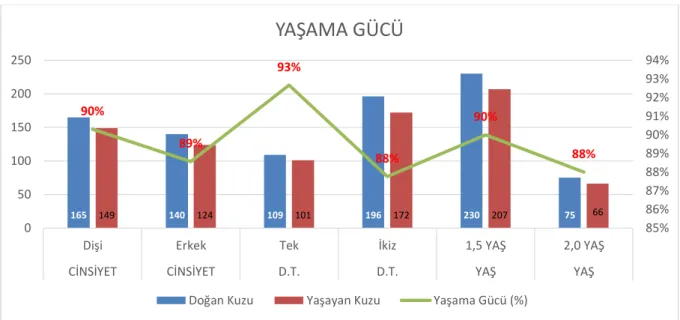 Şekil 4.3. Kuzuların yaşama gücü 