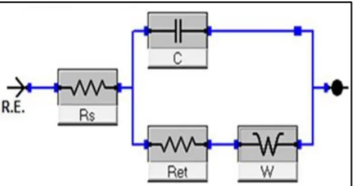 ġekil 3.2‟ de verilen eĢdeğer devre modelinde; Rs çözelti direncini, C kapasitansı, W  difüzyona  bağlı  olan  Warburg  eğrisini  ve  Ret  ise  elektron  transfer  rezistansını  ifade  etmektedir (Sezgintürk ve ark