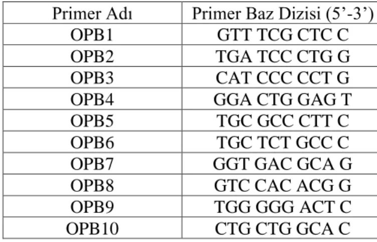 Çizelge 3.4. Kullanılan RAPD primerleri 