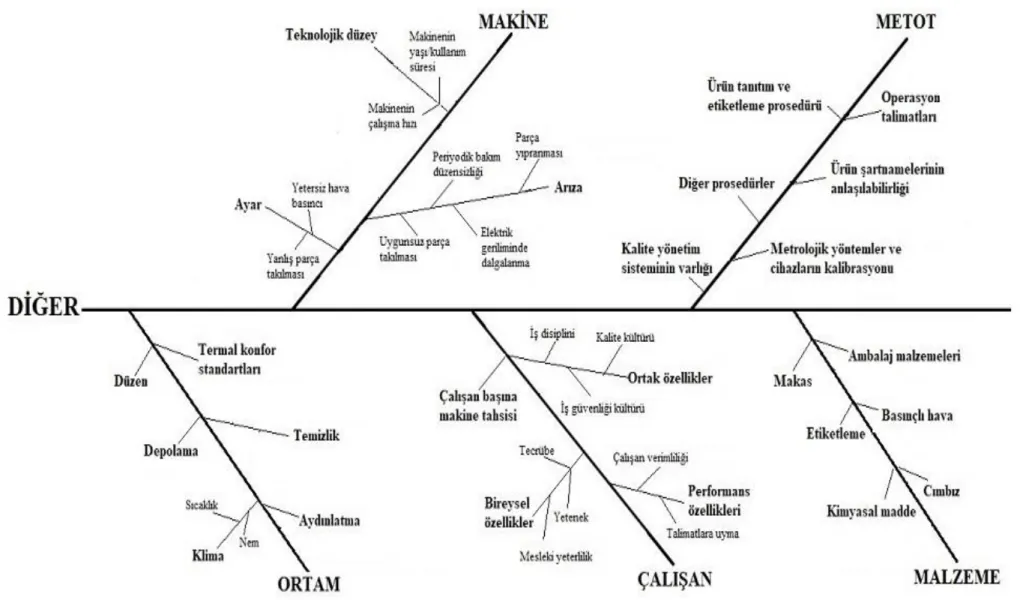 Şekil 4.1e. Diğer etkenlerden kaynaklanan hatalar için yapılan Neden-Sonuç Analizi 