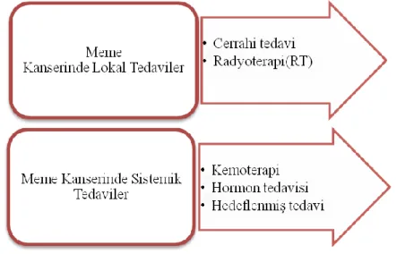 Şekil 2. 3. Meme kanserinde tedavi yöntemleri 