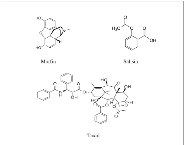 Şekil  2.  4.  İlaç  endüstrisinde  kullanılan  bazı  sekonder  metabolitlerin  kimyasal  yapısı 
