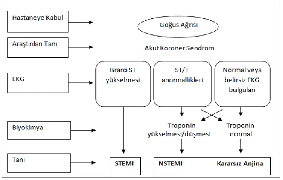 Şekil 2.1 AKS spektrumu. (Hamm ve diğ. 2011). 