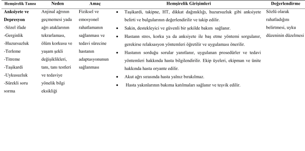 Tablo 2.3 MI hastalarında hemşirelik bakım planı (devam). 