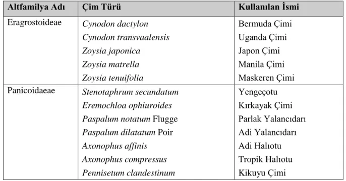 Çizelge 1.2.  Sıcak iklim çim türleri (Avcıoğlu 1997, Smiley ve ark. 2005) 