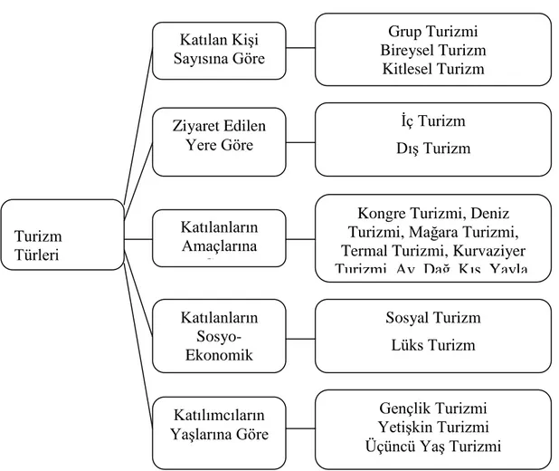 Şekil 1.1: Turizm Türleri 