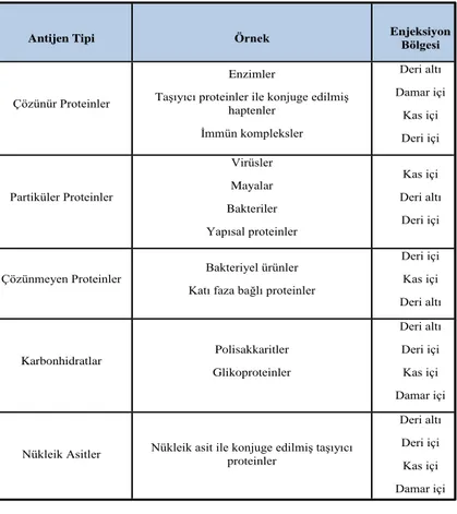 Çizelge 2.1. Farelerin çeşitli antijenler ile bağışıklanma yöntemleri (Akçael ve ark. 2014) 