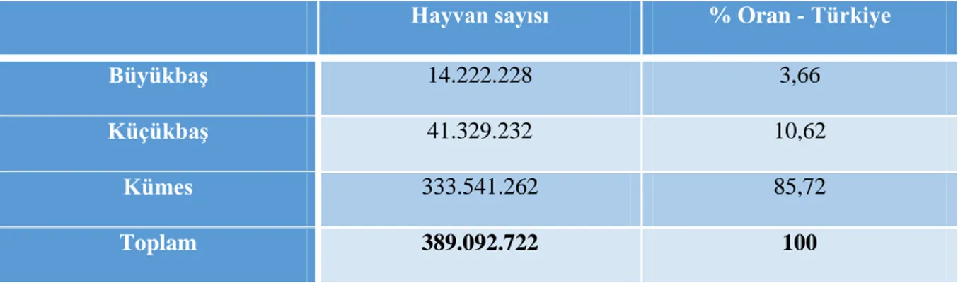 Tablo 3. 1: Türkiye ’de hayvan türlerinin dağılımı ve Türkiye’deki hayvan sayısına oranı 