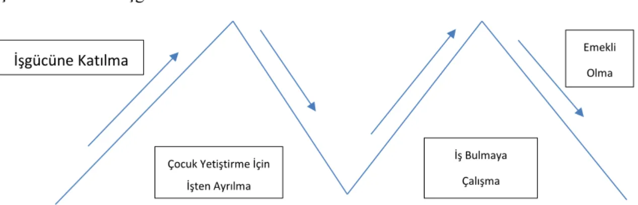 Şekil 1: Kadının İşgücüne Katılımı                                            