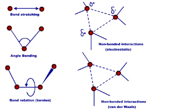 Şekil 2. 2 Moleküler metotların gösterimi (Can 2011) 