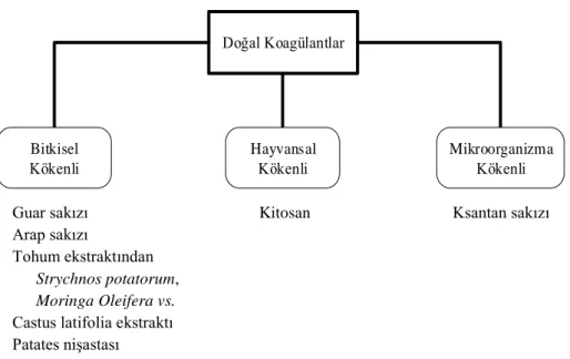 Şekil 2.8. Doğal koagülantlar (Verma ve ark. 2012). 