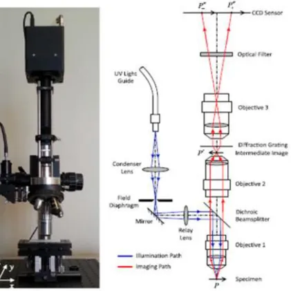 Şekil 4.3. 3D profil ve yer değiştirme ölçümü için kurulan optik mikroskop (Xia ve ark