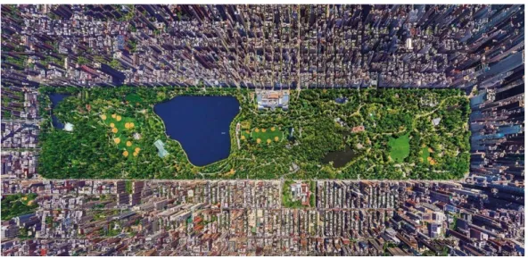Şekil 2.8. New York Central Park (Anonim 2016c) 